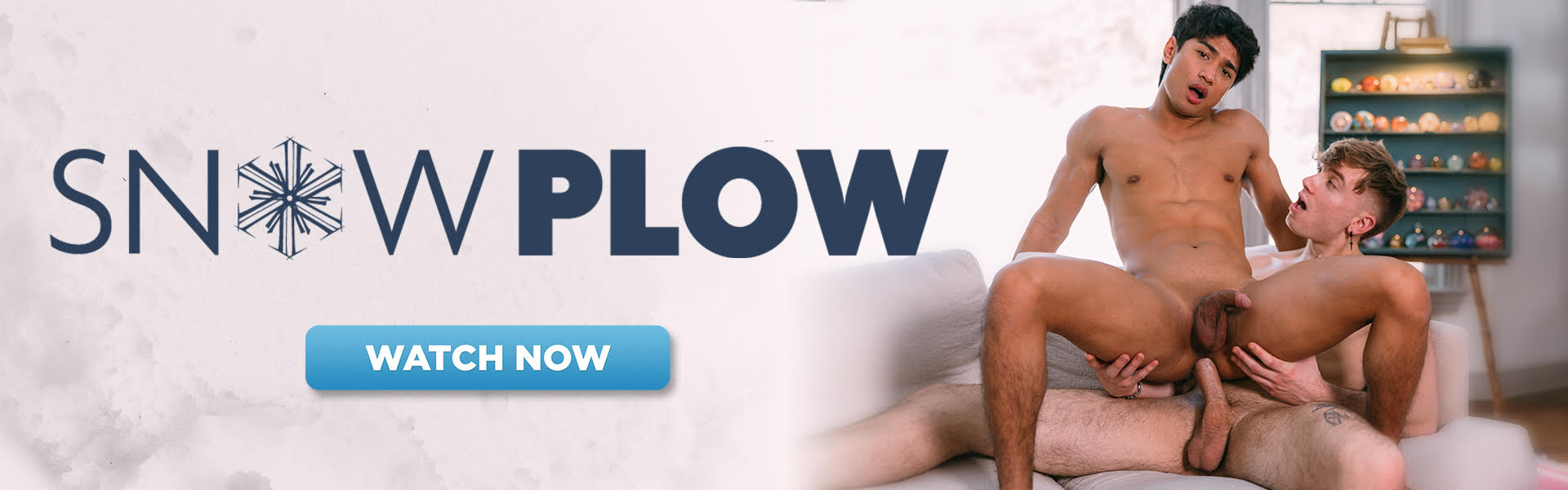 Snow Plow banner