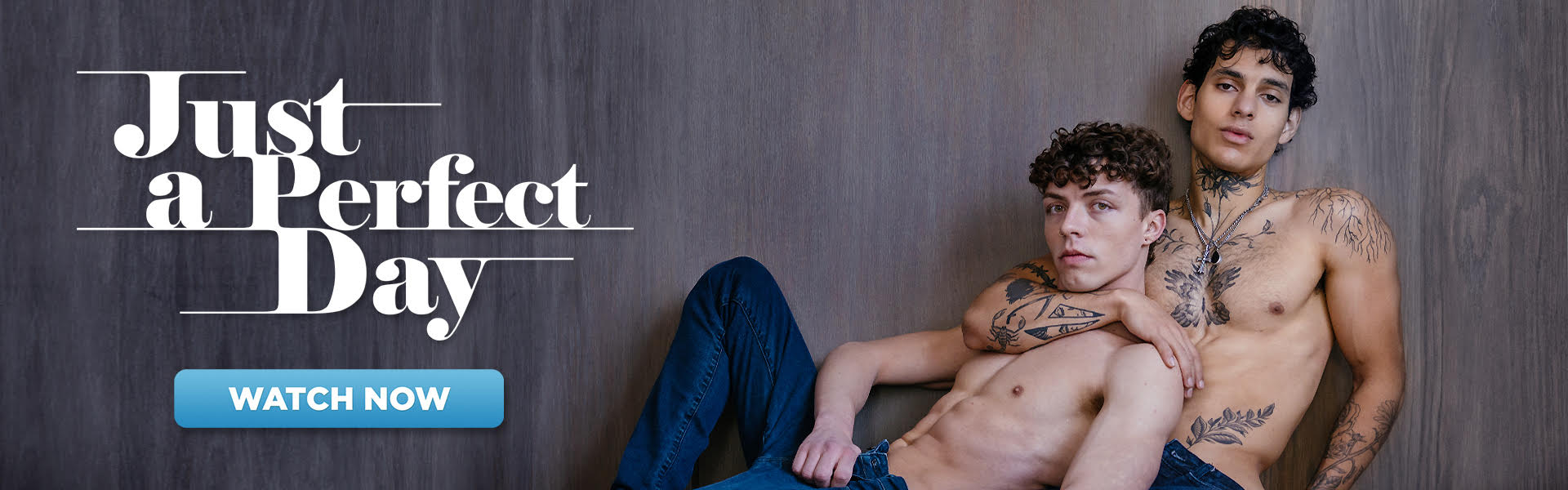 Just a Perfect Day banner