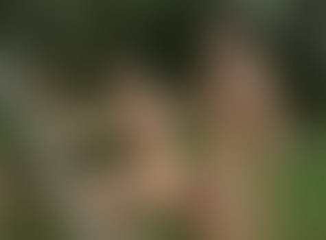 Camp CockyBoys: Frankie V & Taylor Reign