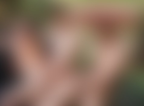 LOVE HAPPENS: Dallas Preston, Drew Dixon & Roman Todd