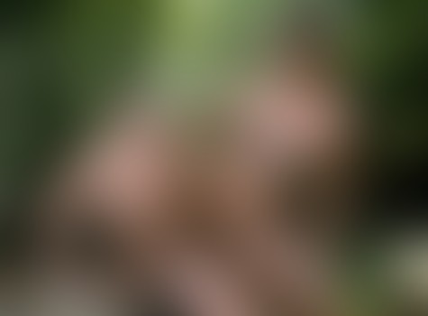 Topher Dimaggio Fucks Ricky Roman